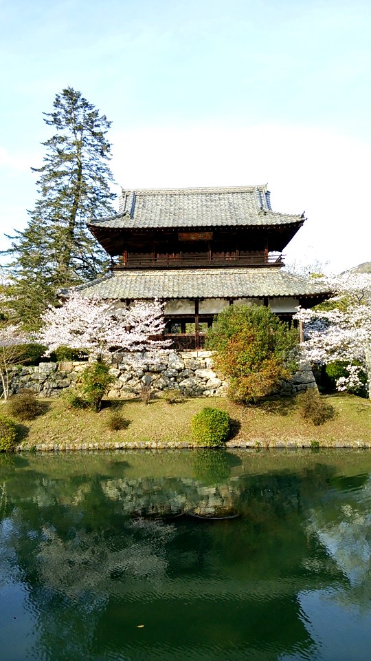 Kikko Park; Kinunkaku