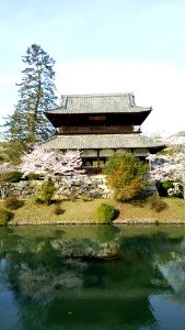 Kikko Park; Kinunkaku