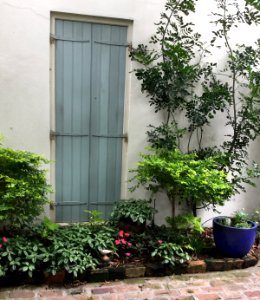 A home in New Orleans
