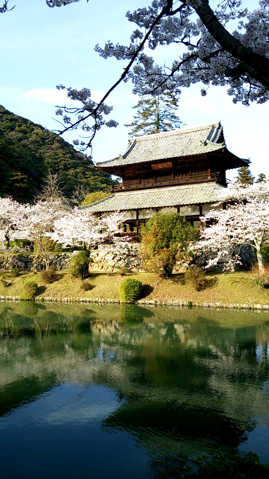 Kikko Park; Kinunkaku