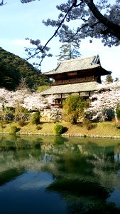 Kikko Park; Kinunkaku