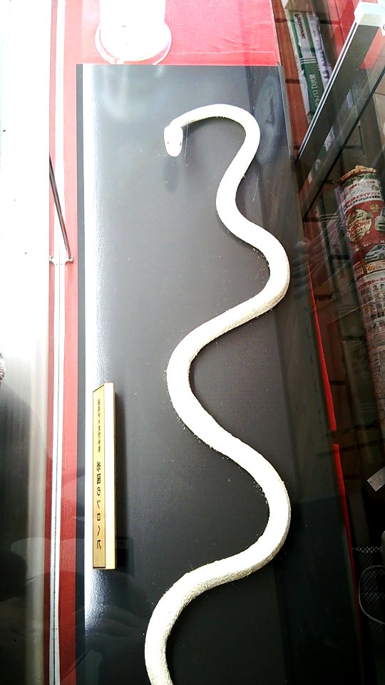 Kikko Park; White Snake Museum
