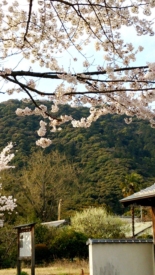 Kikko Park