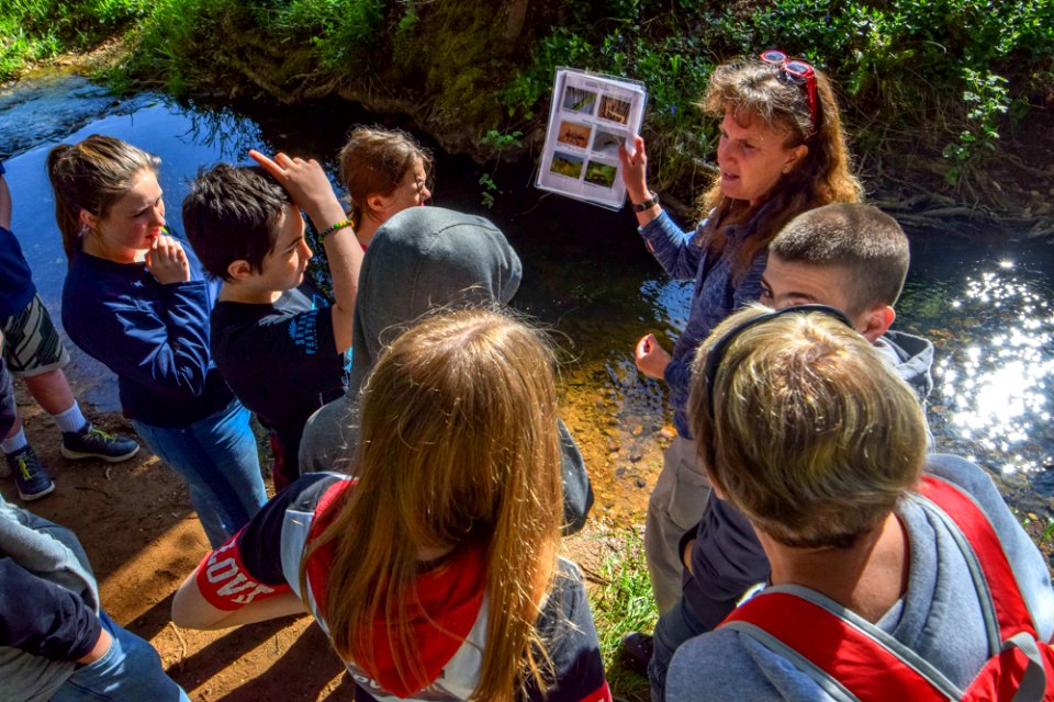 20190425 Glendale Outdoor School 36.jpg