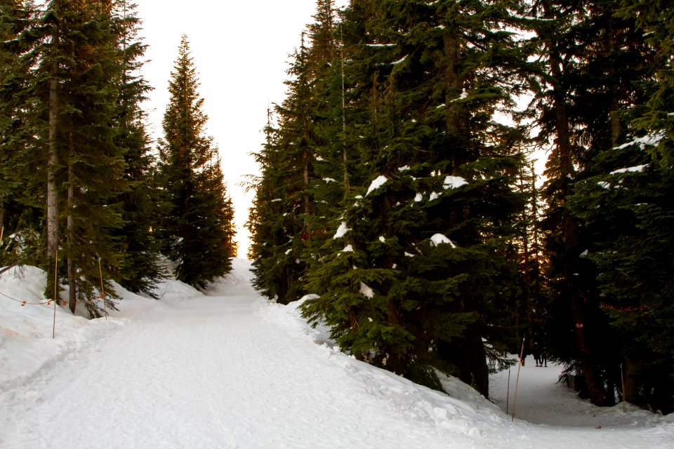 Grouse Mountain Ski Area