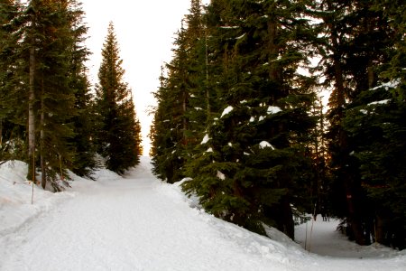 Grouse Mountain Ski Area
