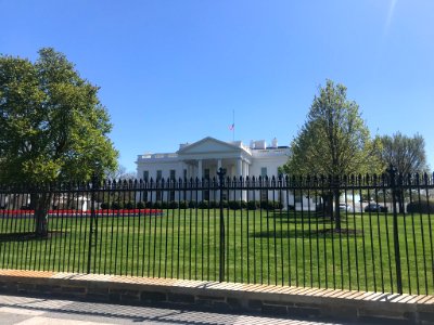 IMG 0387