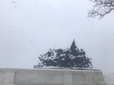 IMG 9769
