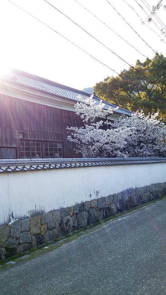 Kikko Park