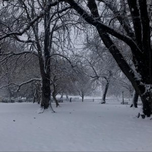 IMG 9782