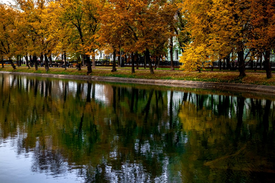 Fall pond in the park, Moscow, Russia.