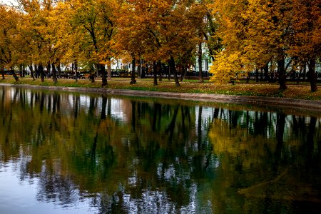 Fall pond in the park, Moscow, Russia. photo