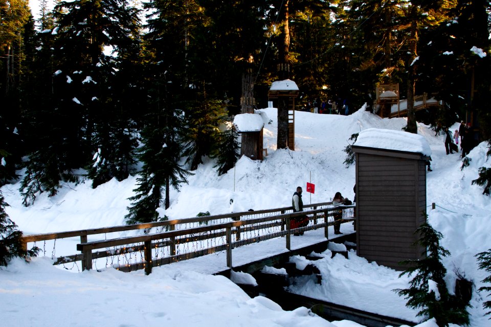 Bridge in Grouse Mountain