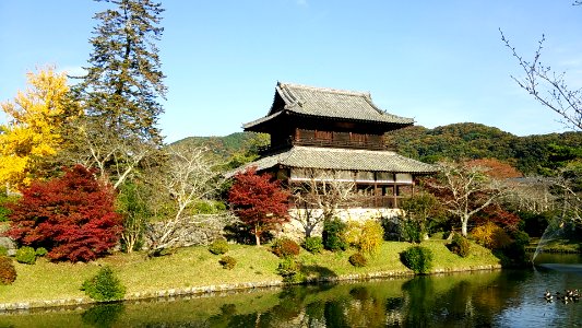 Kikko Park; Kinunkaku