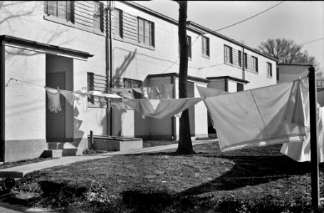 Comes a Gentle Breeze: Clothes on the line, Greenbelt, Maryland, 1937.