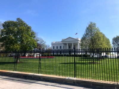 IMG 0406