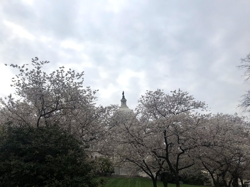 IMG 0165