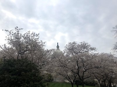 IMG 0165