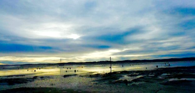 Bassin d'Arcachon !