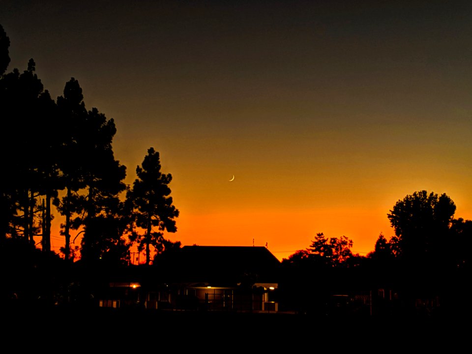 Sunset at the park