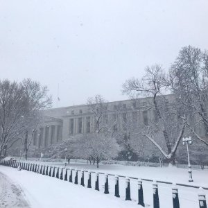 IMG 9781