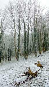 Tout est blanc!