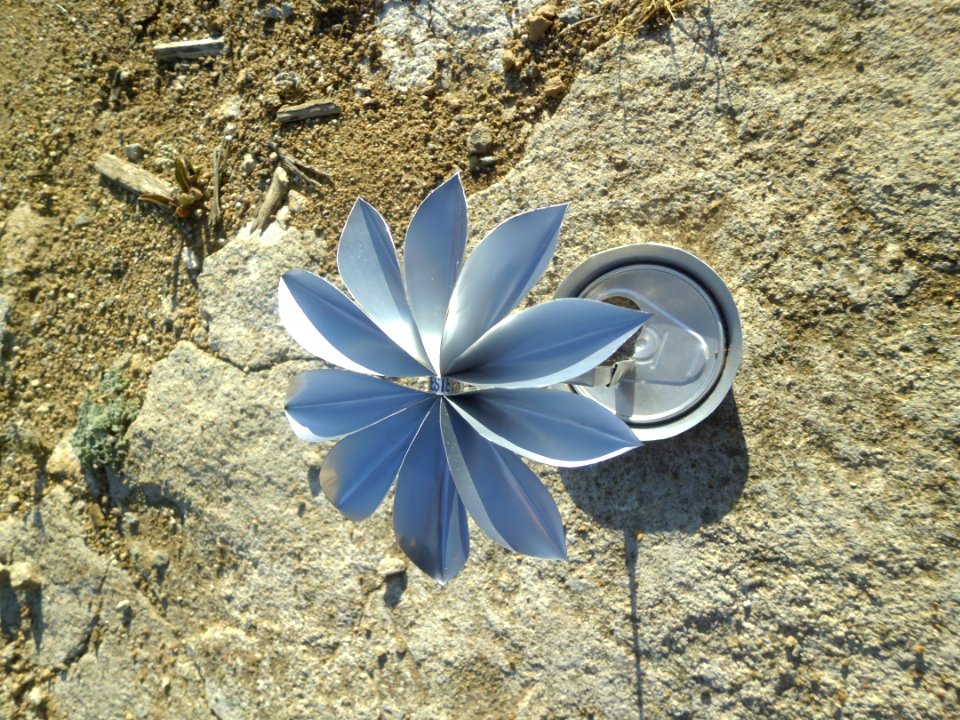 flor de lata 1