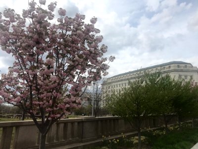 IMG 0456