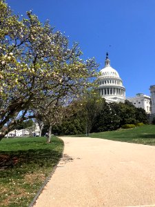IMG 0373