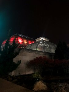 IMG 8892