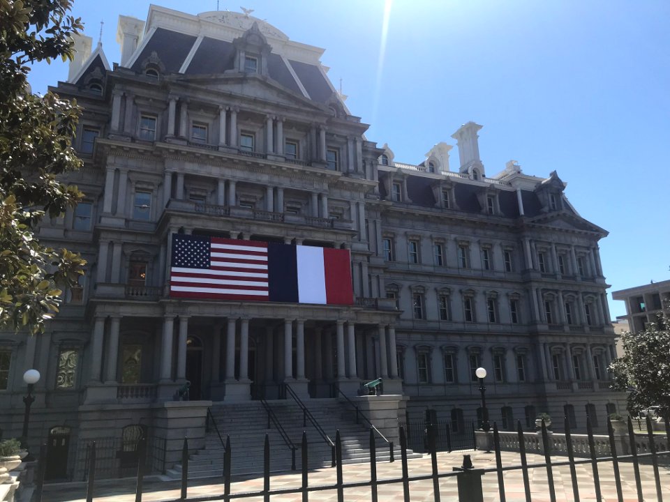 IMG 0392
