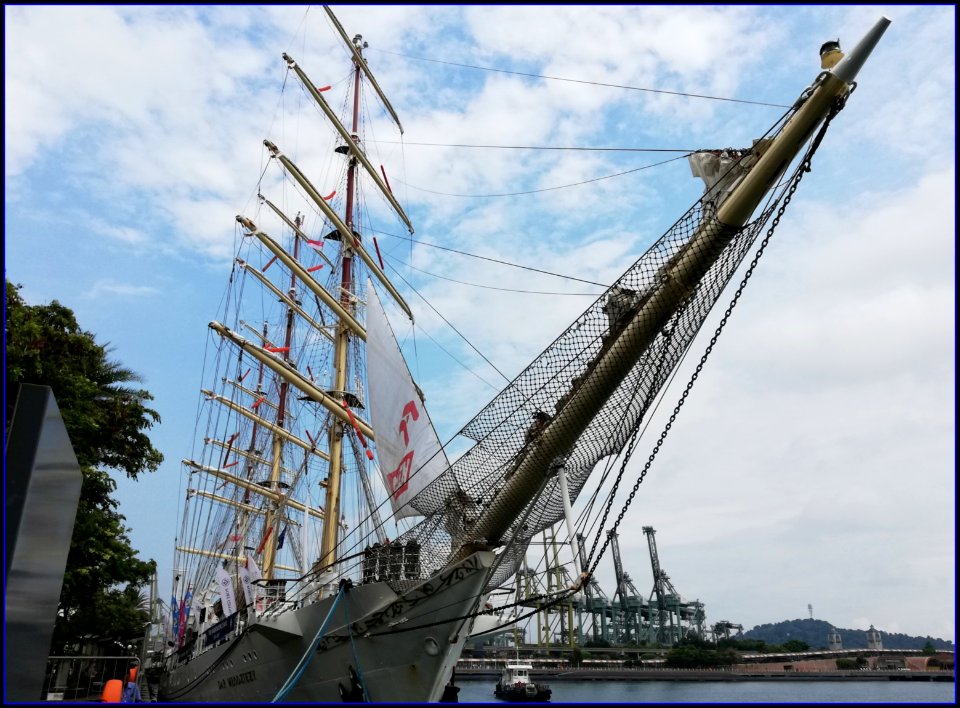 dar mlodziezy in singapore