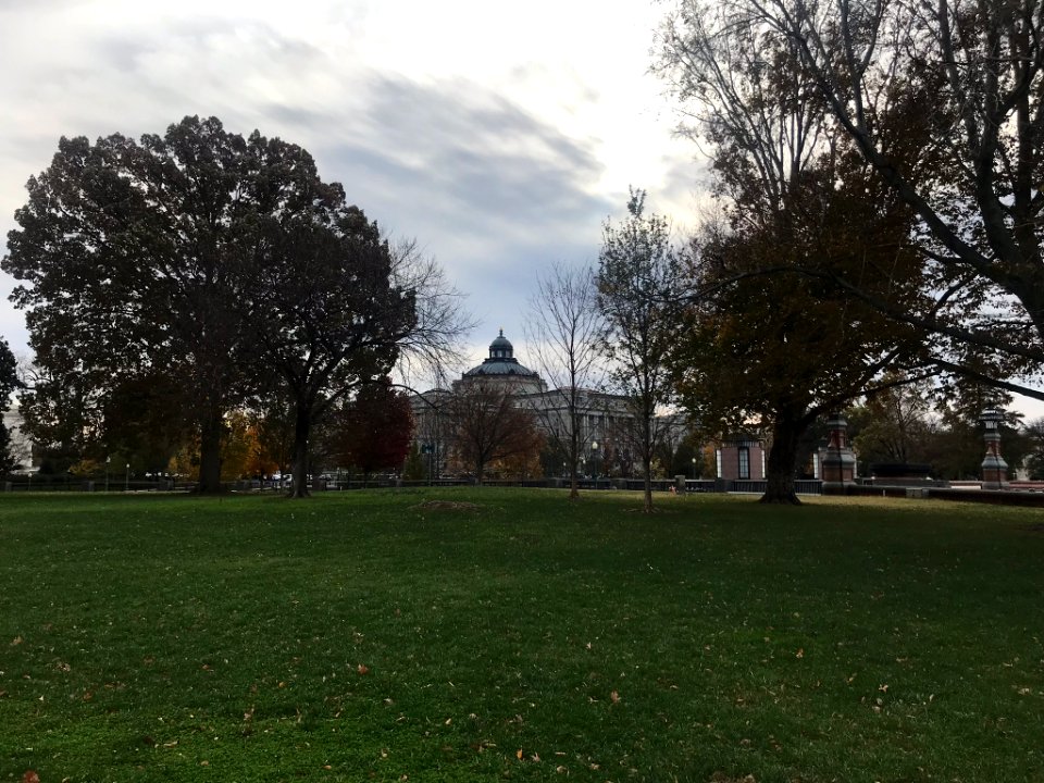 IMG 3210