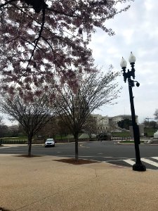 IMG 0153