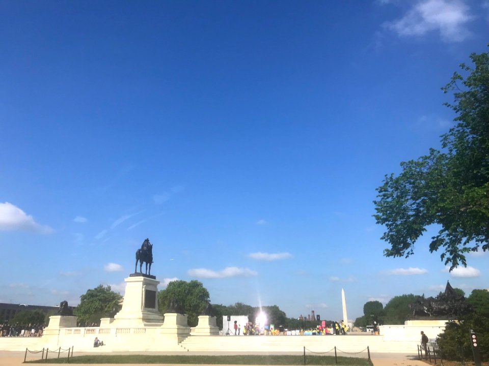 IMG 0787