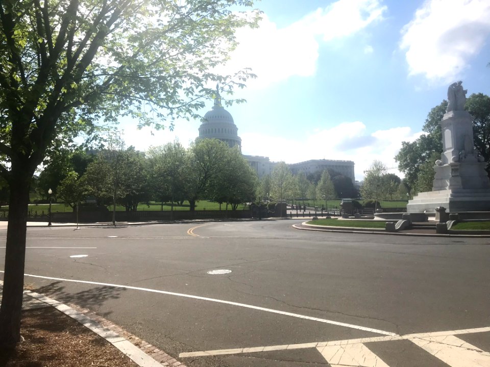 IMG 0785