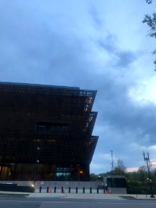 IMG 0545