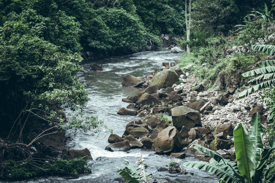 Mountain river water landscape. Wild river in mountains. Mountain wild river water view. Bali island.