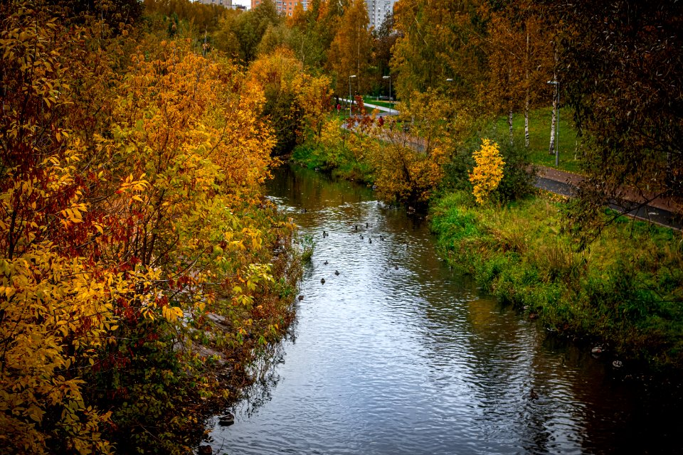 Fall pond in the park photo