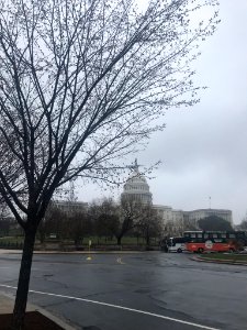 IMG 9591