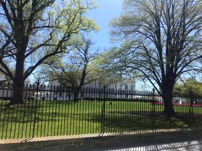 IMG 0385