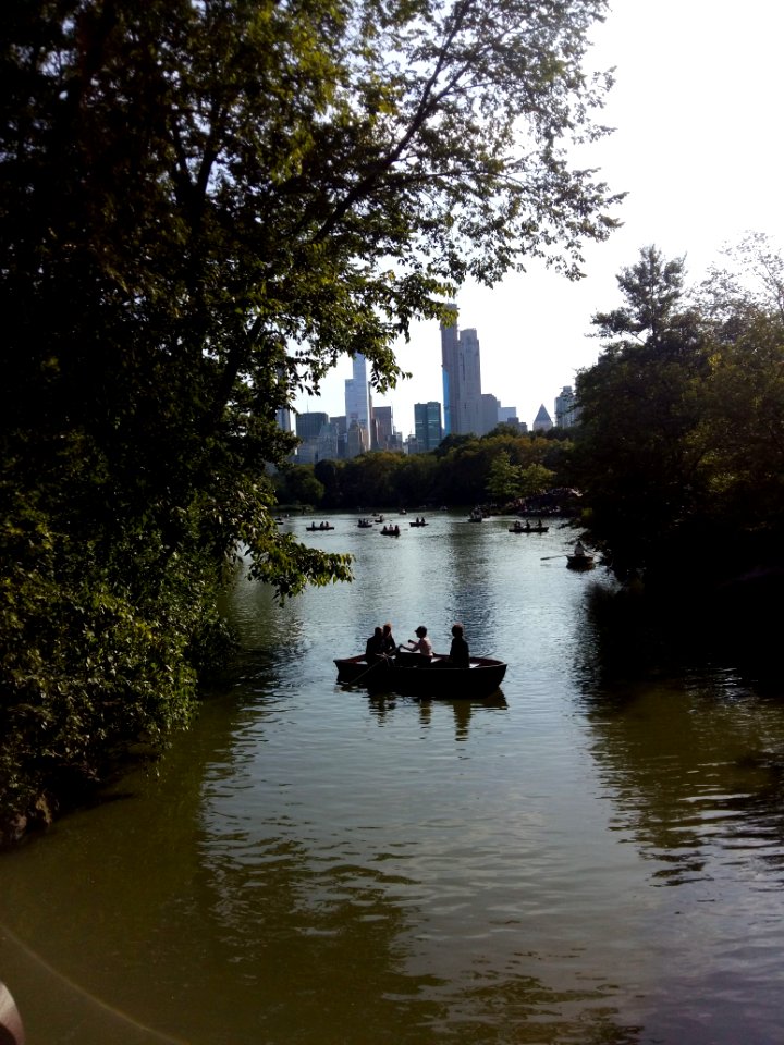 Central Park Pond