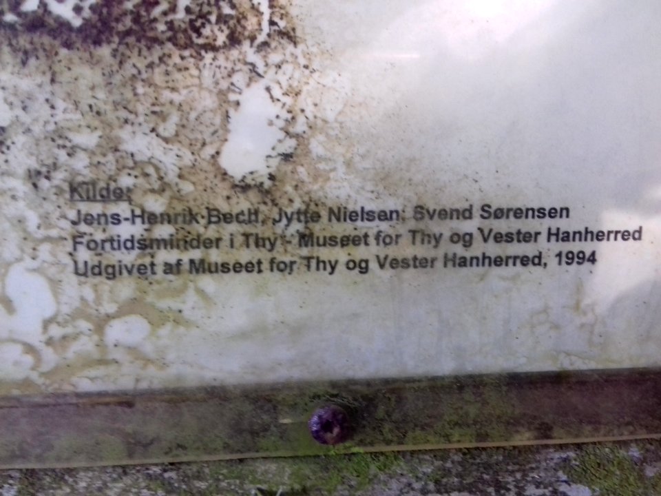 hov daas denmark  (16)