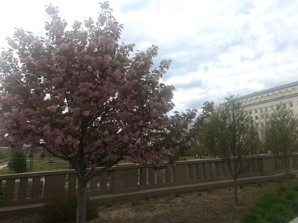 IMG 0455