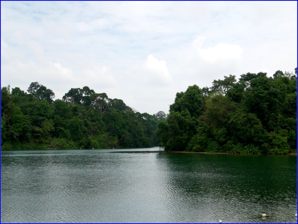 water - every living thing needs it