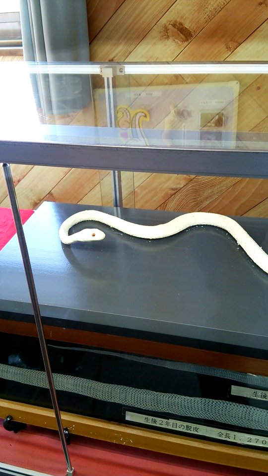 Kikko Park; White Snake Museum