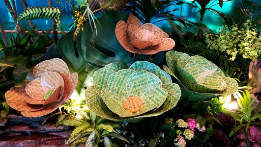 Ornamental horticulture