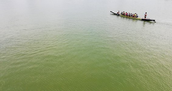 rowing - the whole sea to themselves photo