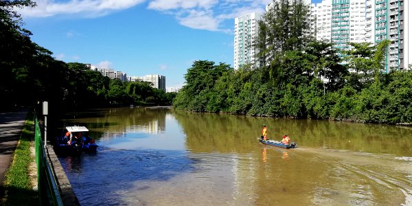 cleaning the river along punggol park connector photo