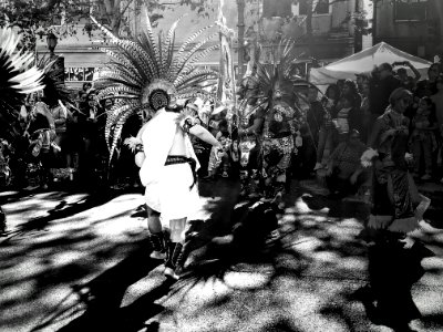 Mexican Death Festival
